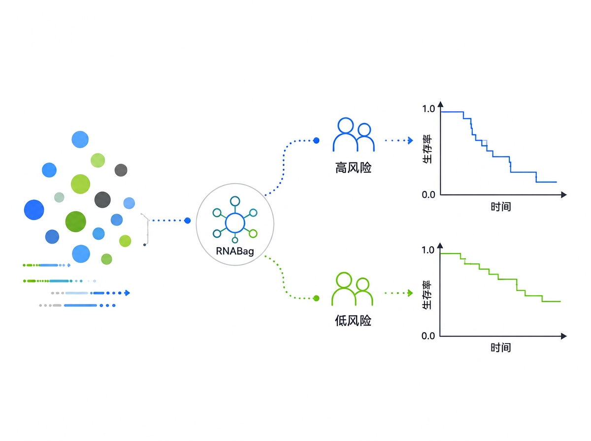 生存风险分层与生存曲线示意图