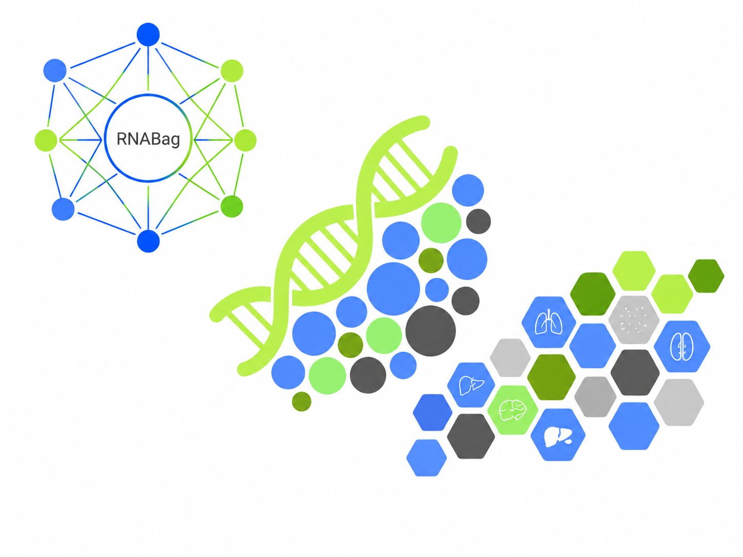 实体组织 RNA 分子信息示意图